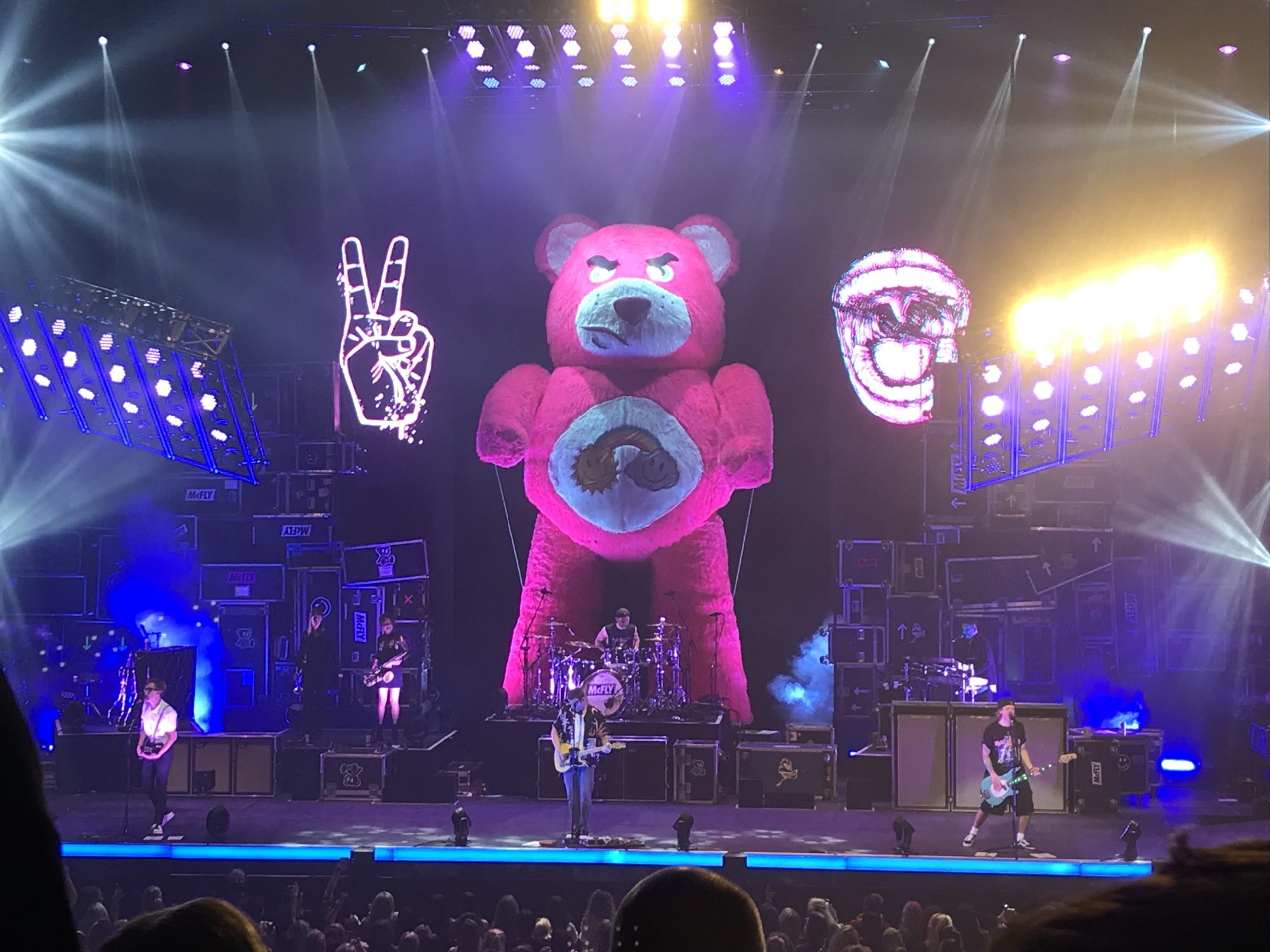 Pink Bear for McFly